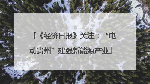 《经济日报》关注：“电动贵州”建强新能源产业