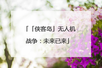 「侠客岛」无人机战争：未来已来