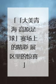 「大美青海 高原足球」赛场上的精彩 展区里的惊喜