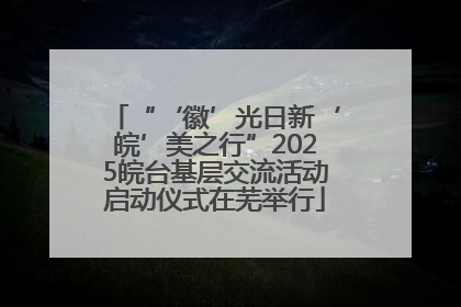 “‘徽’光日新‘皖’美之行”2025皖台基层交流活动启动仪式在芜举行