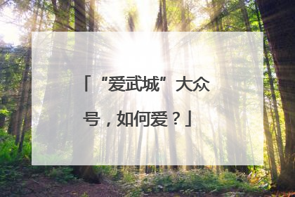 “爱武城”大众号，如何爱？