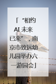 “相约 AI 未来已来”，南京市致远幼儿园举办六一游园会