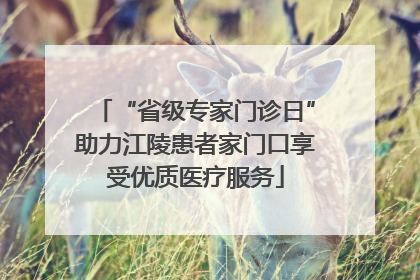 “省级专家门诊日”助力江陵患者家门口享受优质医疗服务
