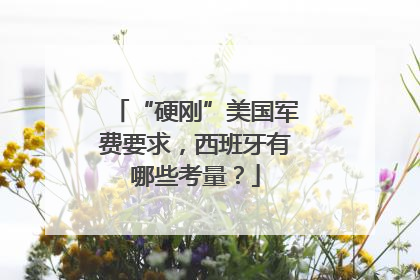 “硬刚”美国军费要求，西班牙有哪些考量？