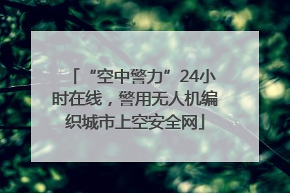 “空中警力”24小时在线，警用无人机编织城市上空安全网
