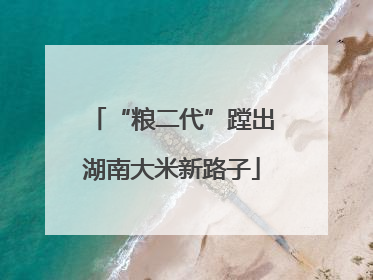 “粮二代”蹚出湖南大米新路子