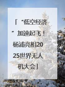 “低空经济”加速起飞！杨浦亮相2025世界无人机大会