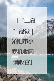 “三夏”视觉｜沁阳市小麦机收圆满收官