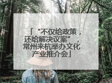 “不仅给政策，还给解决议案”，常州来杭举办文化产业推介会