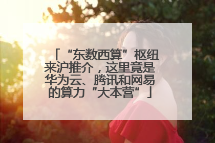 “东数西算”枢纽来沪推介，这里竟是华为云、腾讯和网易的算力“大本营”