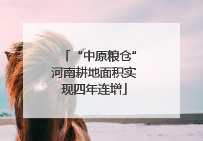 “中原粮仓”河南耕地面积实现四年连增