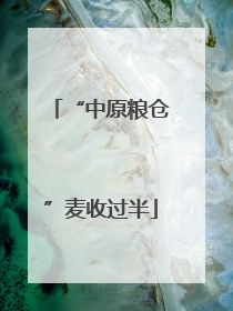 “中原粮仓”麦收过半