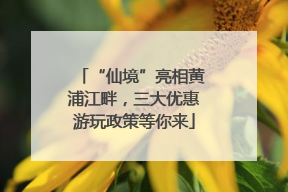 “仙境”亮相黄浦江畔，三大优惠游玩政策等你来