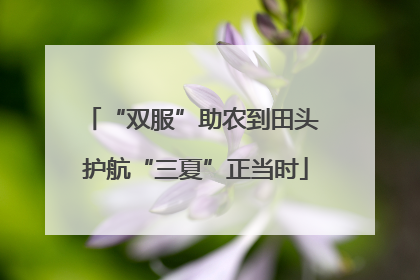 “双服”助农到田头 护航“三夏”正当时