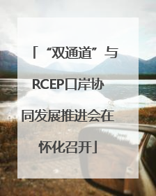 “双通道”与RCEP口岸协同发展推进会在怀化召开