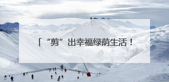 “剪”出幸福绿荫生活！控江路街道以党建引领实现“树与民”双向奔赴