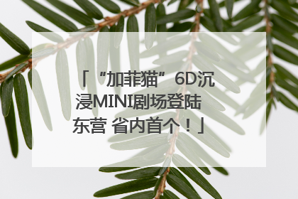 “加菲猫”6D沉浸MINI剧场登陆东营 省内首个！