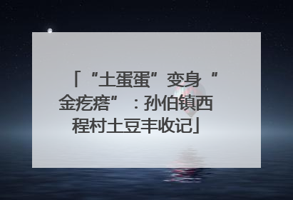 “土蛋蛋”变身“金疙瘩”：孙伯镇西程村土豆丰收记