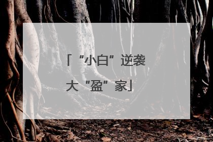 “小白”逆袭大“盈”家