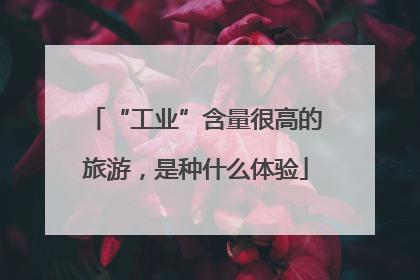 “工业”含量很高的旅游，是种什么体验