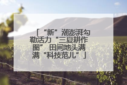 “新”潮澎湃勾勒活力“三夏耕作图” 田间地头满满“科技范儿”