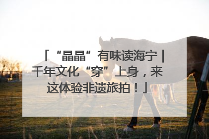 “晶晶”有味读海宁｜千年文化“穿”上身，来这体验非遗旅拍！