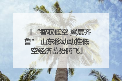 “智驭低空 翼展齐鲁” 山东移动助推低空经济蓄势腾飞