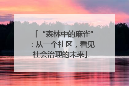 “森林中的麻雀”：从一个社区，看见社会治理的未来