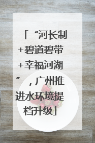 “河长制+碧道碧带+幸福河湖”，广州推进水环境提档升级
