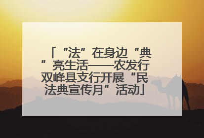 “法”在身边“典”亮生活——农发行双峰县支行开展“民法典宣传月”活动