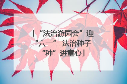 “法治游园会”迎“六一” 法治种子“种”进童心