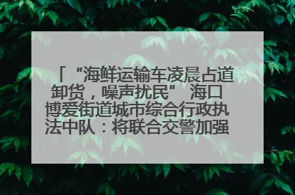“海鲜运输车凌晨占道卸货，噪声扰民” 海口博爱街道城市综合行政执法中队：将联合交警加强长堤路一带巡逻