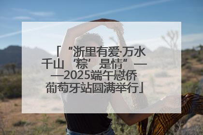 “浙里有爱·万水千山‘粽’是情”——2025端午慰侨葡萄牙站圆满举行