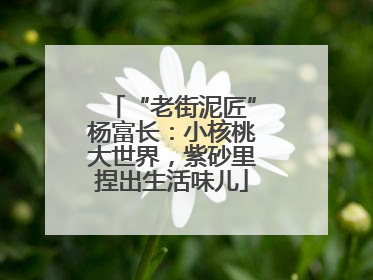 “老街泥匠”杨富长：小核桃大世界，紫砂里捏出生活味儿