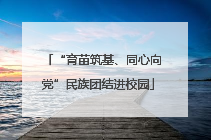 “育苗筑基、同心向党”民族团结进校园