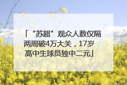 “苏超”观众人数仅隔两周破4万大关，17岁高中生球员独中二元