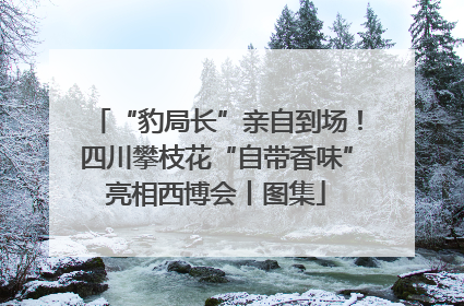 “豹局长”亲自到场！四川攀枝花“自带香味”亮相西博会丨图集