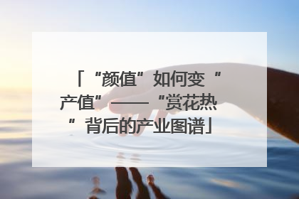 “颜值”如何变“产值”——“赏花热”背后的产业图谱