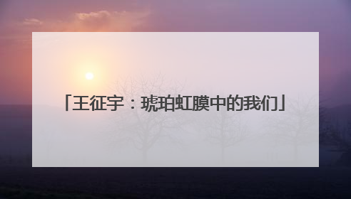 王征宇：琥珀虹膜中的我们