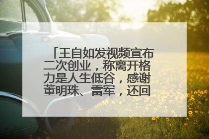 王自如发视频宣布二次创业，称离开格力是人生低谷，感谢董明珠、雷军，还回应了“工资条”：清楚自己要什么……