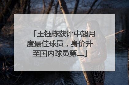 王钰栋获评中超月度最佳球员，身价升至国内球员第二