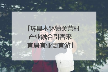 环县木钵镇关营村 产业融合引客来 宜居宜业更宜游