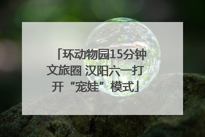 环动物园15分钟文旅圈 汉阳六一打开“宠娃”模式
