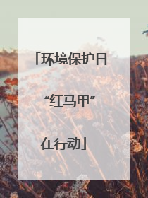 环境保护日 “红马甲”在行动