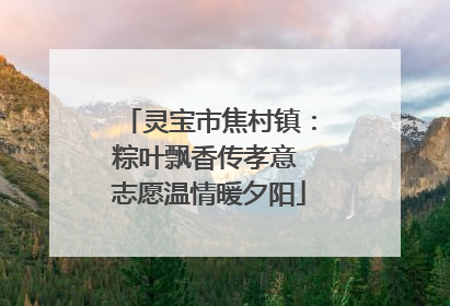 灵宝市焦村镇：粽叶飘香传孝意 志愿温情暖夕阳