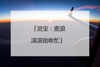 灵宝：麦浪滚滚抢收忙