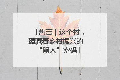 灼言｜这个村，蕴藏着乡村振兴的“留人”密码
