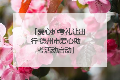 爱心护考礼让出行 德州市爱心助考活动启动