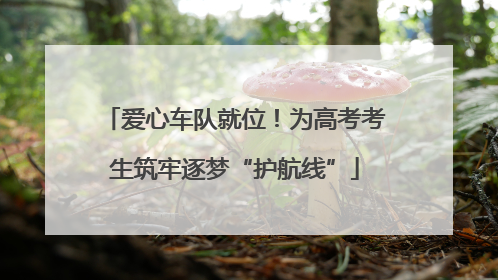 爱心车队就位！为高考考生筑牢逐梦“护航线”
