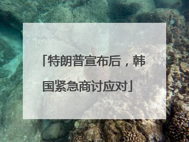特朗普宣布后，韩国紧急商讨应对